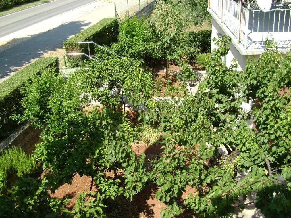Apartmani Tome Zadar Exteriör bild
