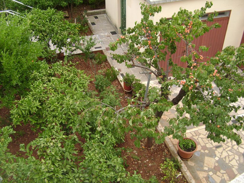Apartmani Tome Zadar Exteriör bild
